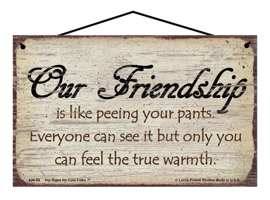 Our Friendship Is Like Peeing Your Pants Everyone Can See It But Only You Can Feel The True Warmth - Vintage Style Sign